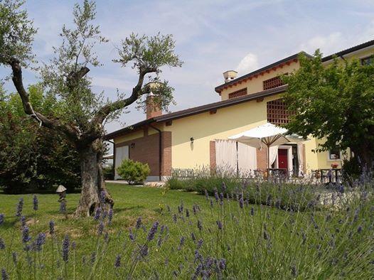 Agriturismo Anna Caterina Hotel Castelnuovo del Garda Exterior photo