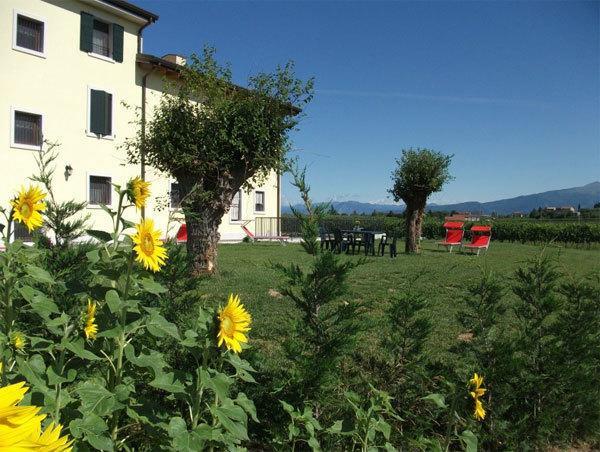 Agriturismo Anna Caterina Hotel Castelnuovo del Garda Exterior photo